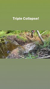 137K views · 1.7K reactions | Dam Collapsed several times! #beaverdam #beaver #nature #flood #dam #reel #viralpost #relax #collapse #drain #satisfying #asmr | Kenislovas | Facebook