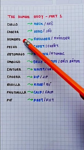 Partes del Cuerpo Humano en Inglés #inglesfacil #ingles #inglesencasa #clases