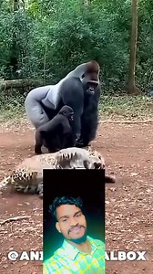 Amazing weapons of animals 🐯 | Bhagwan Hembram