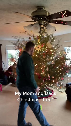 More of a bush.... #christmas #comedy #funny