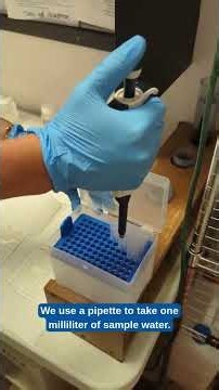 Let's Go E.Coli Sampling