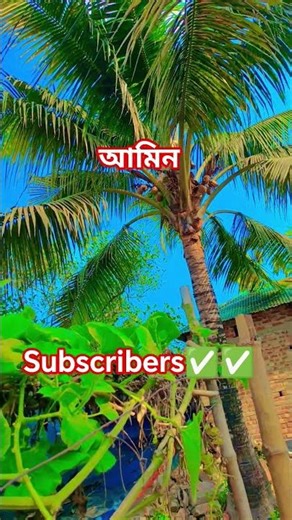 কালেমা-লা ইলাহা ইল্লাল্লাহু মুহাম্মাদুর রাসুলুল্লাহ সাঃ#shorts #islamicvideo #kalema #dua