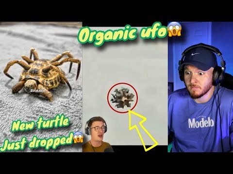 WEIRD videos that will keep you up all NIGHT!