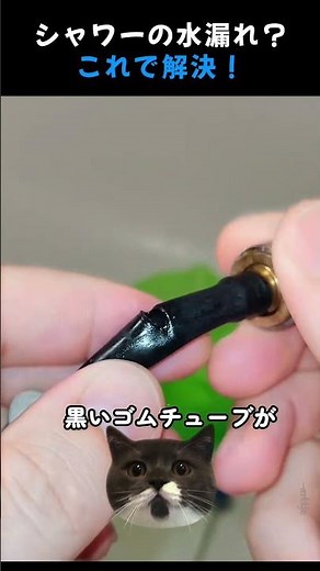 急なシャワーの水漏れどうする？すぐできる修理術！