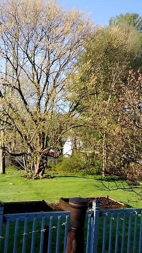 2.4K views · 60 reactions | Shop Tour (1) #luthier #guitar #acousticguitar #workshop | Jessica.violins | Facebook