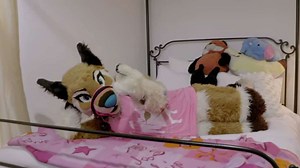 Extreme Love exclusive: Furries get frisky while in their suits