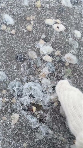 ASMR ICE CRACKING 🩵