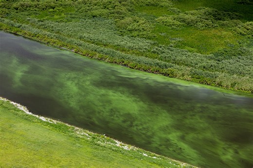 Scientists make game-changing breakthrough with hazardous waste: 'An effective solution'