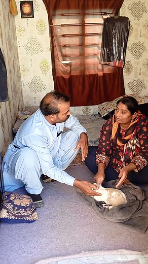 Caring for a Pet Rabbit: A Gentle Introduction