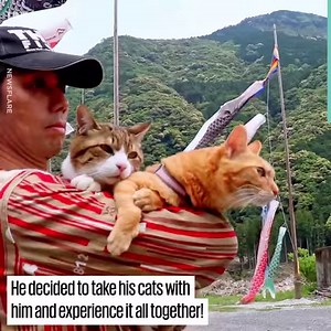 77K views · 308 shares | These rescue kittens are living their best life travelling around Japan  | UNILAD Adventure | Facebook