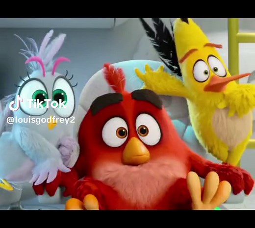 Ambatukam Angry Birds Meme Compilation