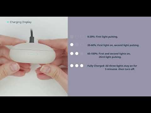 The charging case's indicator light of Sleep A20 | soundcore Support