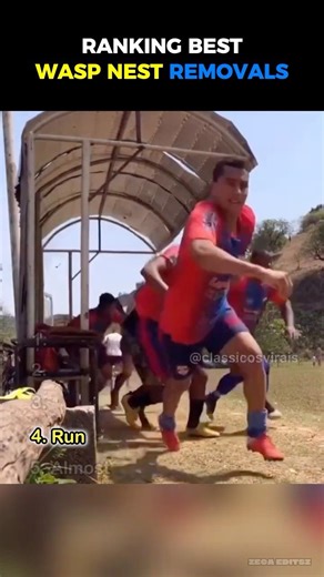 Ranking | Wasp Nest Removal Moments