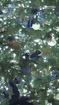 White House unveils 2025 Holiday decorations