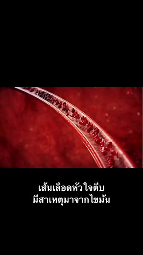 Exploring Organic Textures: A Red Biological Surface