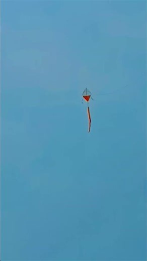 flying Tiger kite #kite #kiteflying #experiment