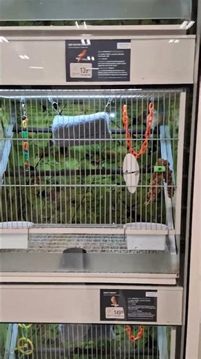 Bird Cages At PetSmart In Burlington Ontario 11/17/25