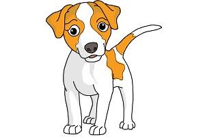 How to Draw a Dog - Step by Step