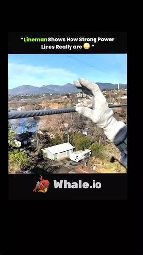 explain_eduverse_ on Instagram: "A lineman working high above the ground shows the strength of the power line and the safety skills used by professionals on high-voltage systems. Using special tools and careful techniques, the lineman handles the line to show how it carries electricity safely while following strict safety rules to stay protected during the job. . . 👉Follow me @the.explaination_ . . (no copyright intended, DM for credit or removal) . . . . #knowledge #fyp #history #didyouknow #t