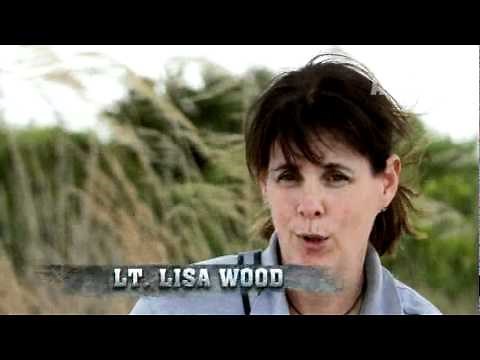 Swamp Wars- Alligator vs. Python