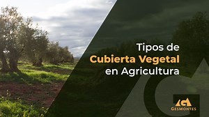 Tipos de Cubierta Vegetal en Agricultura | Gesmontes