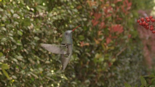 419 reactions · 87 shares | Did you know the Nano Hummingbird flaps it’s wings 30 times per second and was the first Nano Air Vehicle (NAV) with tri-axis control? | AV | Facebook