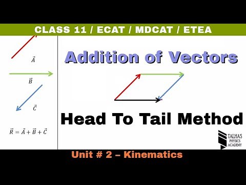 Addition of Vectors by Head To Tail Method(Graphical Method) | Unit 2 Kinematics-Class 11- #TP11 15