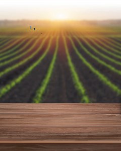 2K views · 587 reactions | There are three different & delicious flavours, but what do they all have in common? It’s CORN! NESTLÉ CEREVITA Corn & Banana, Corn & Cocoamalt and Corn & Wheat. Delicious and nutritious, Makes breakfast great for those big days. | Our Nestlé Zambia | Facebook