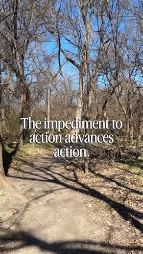 NoScript Frames on Instagram: "The absence of obstacles suggests a path of little consequence."