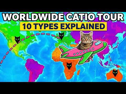 I Found Every Type of Catio On Earth — Here's What I Learned