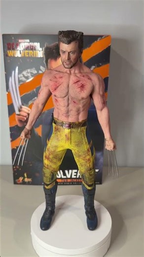 HOT TOYS: WOLVERINE (TVA JACKET) (DEADPOOL & WOLVERINE): NEW FIGURE PREVIEW #hottoys #mcu #wolverine