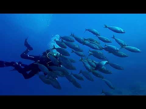 Underwater test of Akaso V50 Pro