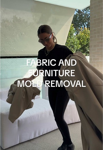 Effective Mold Removal Tips for Fabric and Furniture