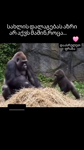 აბა...? #momsproblems #again #fyp | მარიკო მჭედლიძე