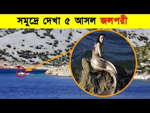 সমুদ্রে দেখা 5টি রহস্যময় জলপরী, 5 Mysterious Mermaids Spotted in the Ocean,
