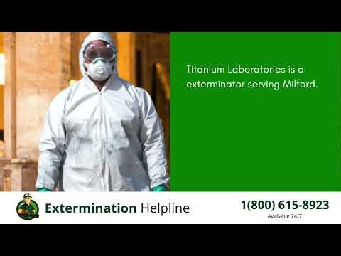 Top 3 Exterminators in Milford