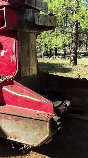 guilty_of_treeson (@guilty_of_treeson)’s videos with original sound - guilty_of_treeson