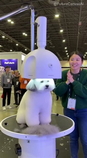 Perfect Bichon Teddy Bear Cut by AI Robot? #shorts #animals