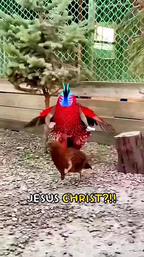 Embracing the Lord: A Message of Faith and Hope