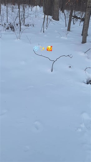 Snow day state of mind ☕❄️✨ | Jcb Coate