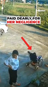A woman was so distracted while chatting that she neglected her grandson's stroller, letting it roll straight into a pond. By the time she realized what had happened, it was already too late... —- According to local authorities, the little boy was rescued without major problems. | The Enigma