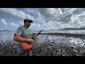 Honolulu City Lights By Keola and Kapono Beamer. Cover By Brandon Onishi