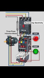 3.1K views · 50 reactions | Three Phase Induction Motor #connection #diagram#shorts #viral #converter #shorts #viral #tending #electrician #electrical #electronics #electricity #electricalengineering #electricalwork #reelfb #electricalservices #everyone #reelschallenge #electronicmusic #videos #fbreels23 #fbreels24 #fbreelsvideo #short #poweredbyelectricity | 혗혰호혦혳혦혥 혉혺 혌혭혦혤혵혳혪혤혪혵혺 | Facebook