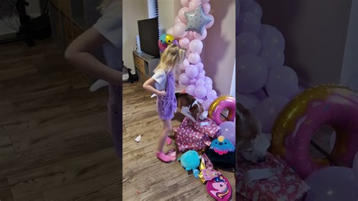 Beagles appear guilty as charged after silly antics