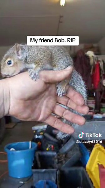 stacey ford (@staceygford)’s videos with original sound - stacey ford