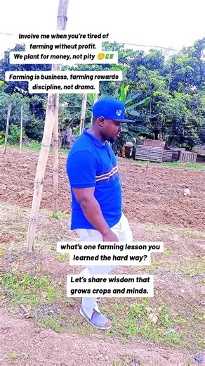 Profit in farming starts from planning, not planting. Every successful farmer understands that planting is just one step The real secret is planning before planting. Know your water source, know your market, know your timing. That’s how small farms become profitable empires. So before you buy seeds, buy knowledge. Before you till the soil, study your market. That’s how you farm once and smile twice. 😊 What’s the one mistake you’ll never repeat on your farm again? Let’s learn together #Olatfarms