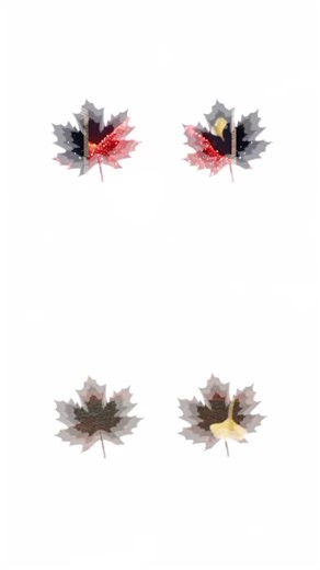 Bill grant (@bill.grant0)’s videos with original sound - @ALMIGHTY GOD HAVE MERCY ON US