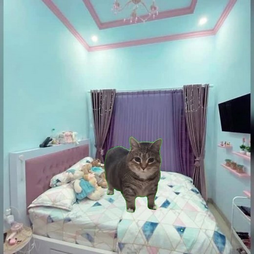 done ya @milkisses942, next pov kucing apa lagi? #pov #meme #kucing #fypシ゚