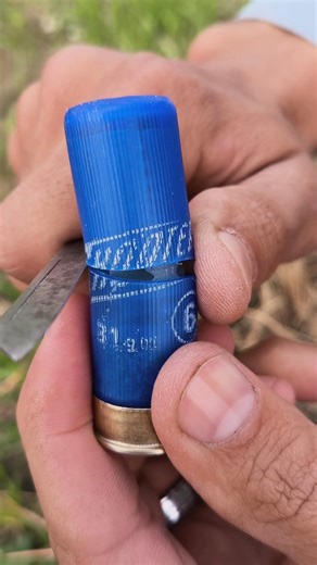 Inside Birdshot: A Closer Look!