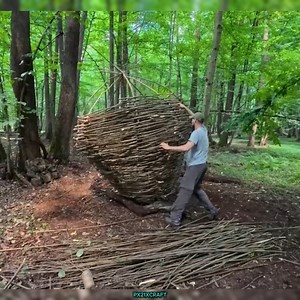 uilding a Cozy Nest Tree House for Survival | 1top videios